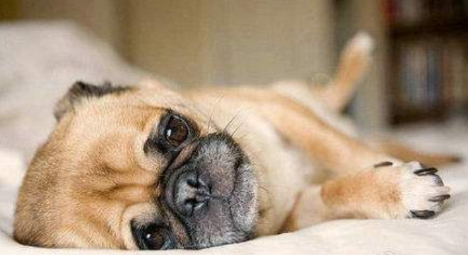 1603451597223353.png image.png